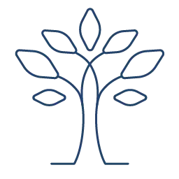 Ancestralidad la casa del curandero